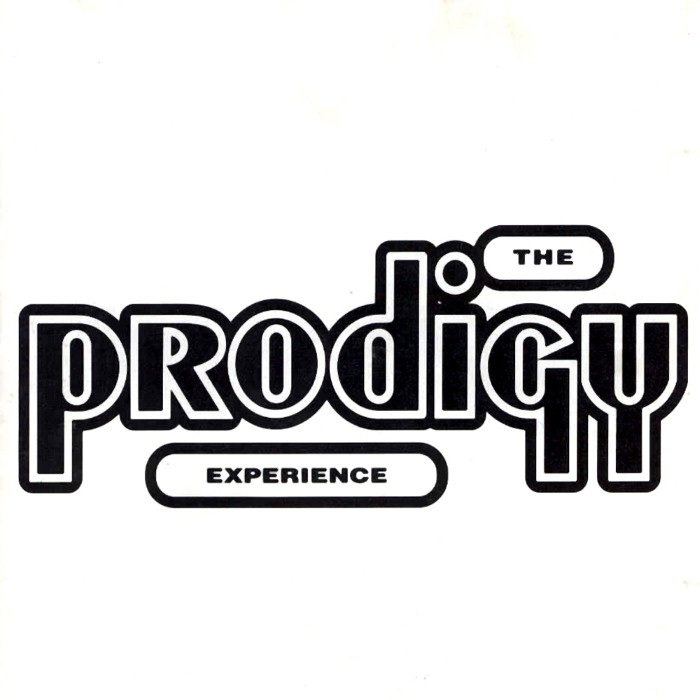 the prodigy - Experience