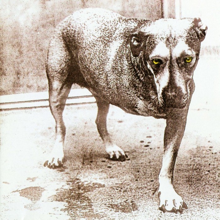 alice in chains - Alice in Chains