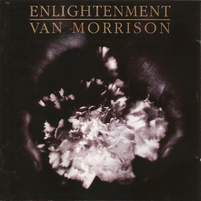 van morrison - Enlightenment