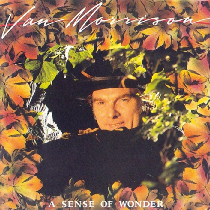 van morrison - A Sense of Wonder