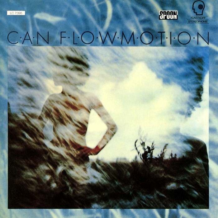 can - Flow Motion
