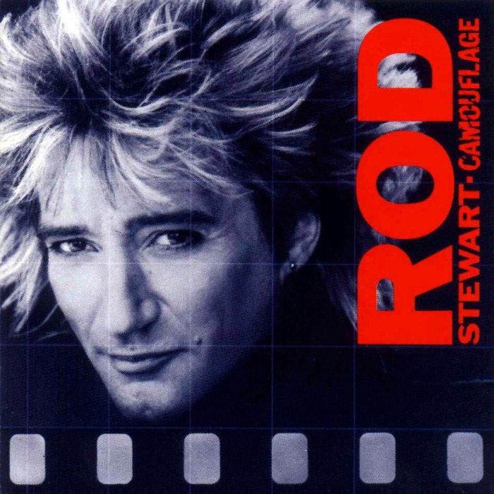 rod stewart - Camouflage