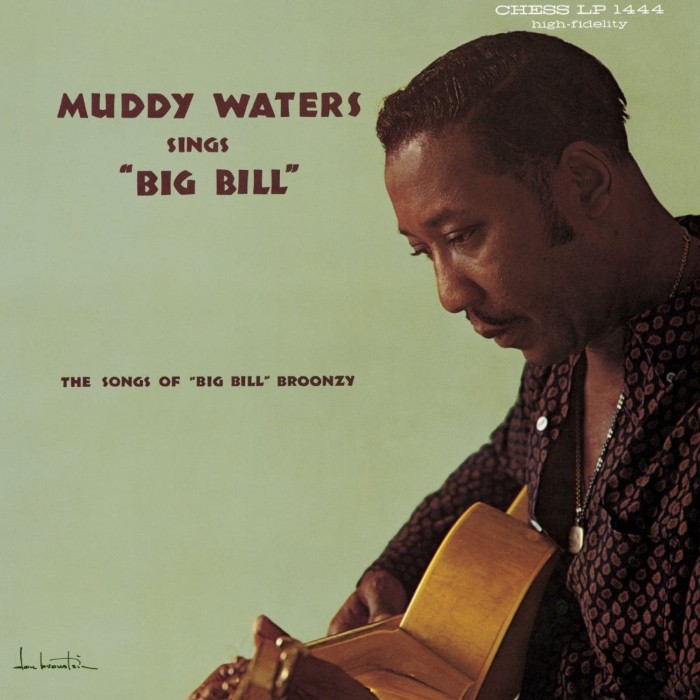 muddy waters - Muddy Waters Sings Bill Bill Broonzy/Folk Singer