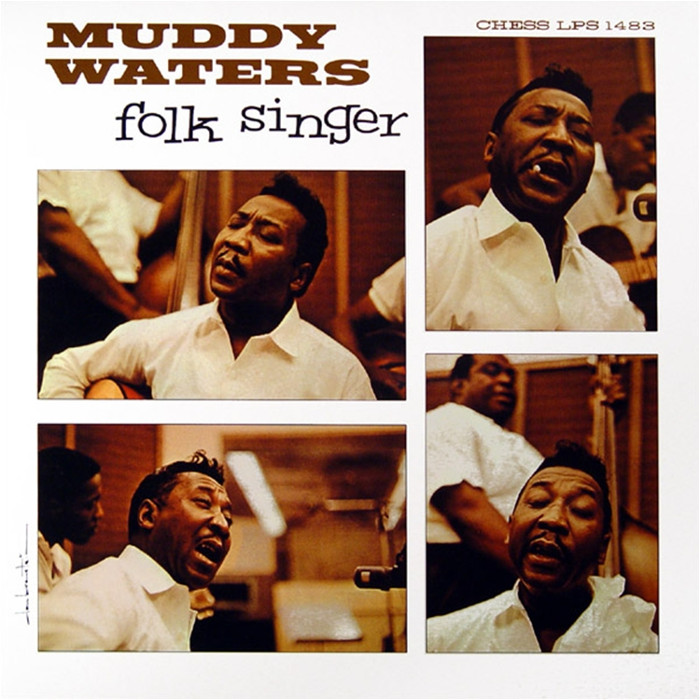 muddy waters - Folk Singer