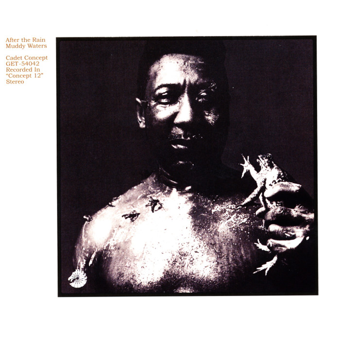 muddy waters - After the Rain
