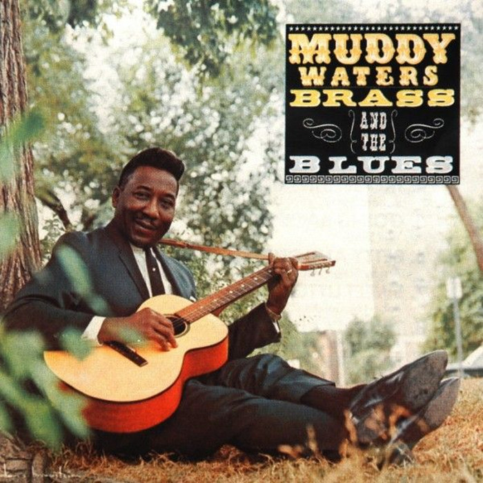 muddy waters - Muddy, Brass and the Blues