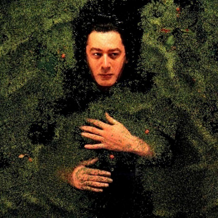 alain bashung - Fantaisie militaire