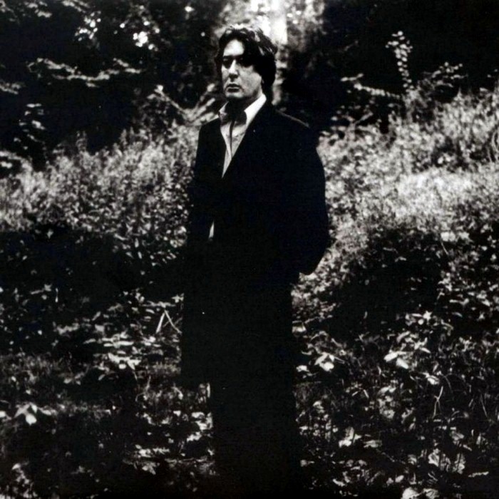 alain bashung - L