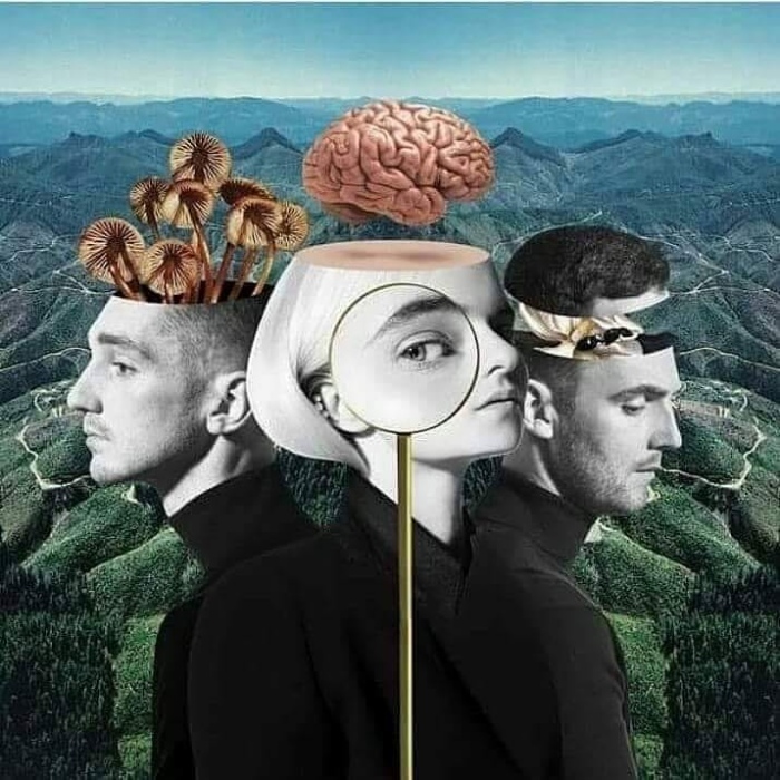 Clean Bandit - What Is Love?