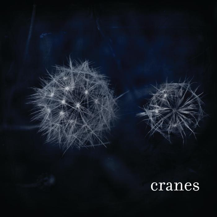 Cranes - Cranes