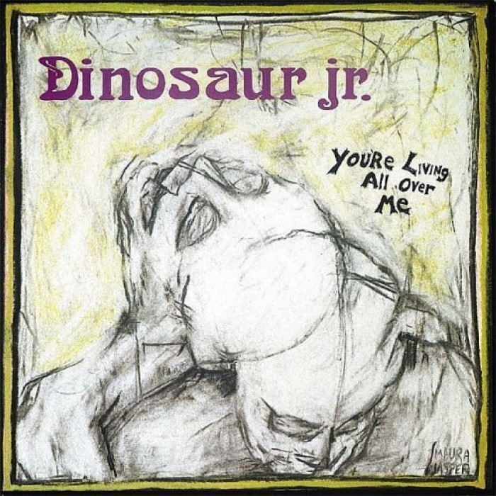 Dinosaur jr - You