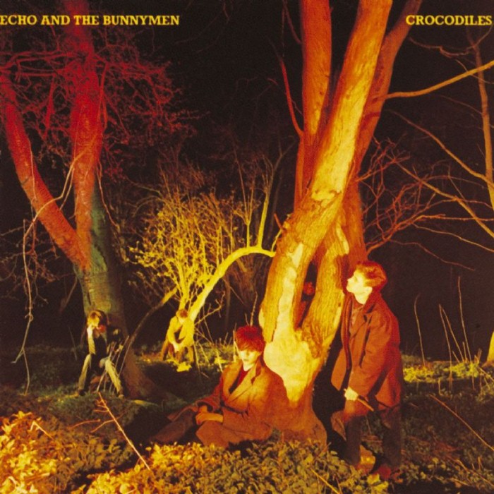 Echo & The Bunnymen - Crocodiles