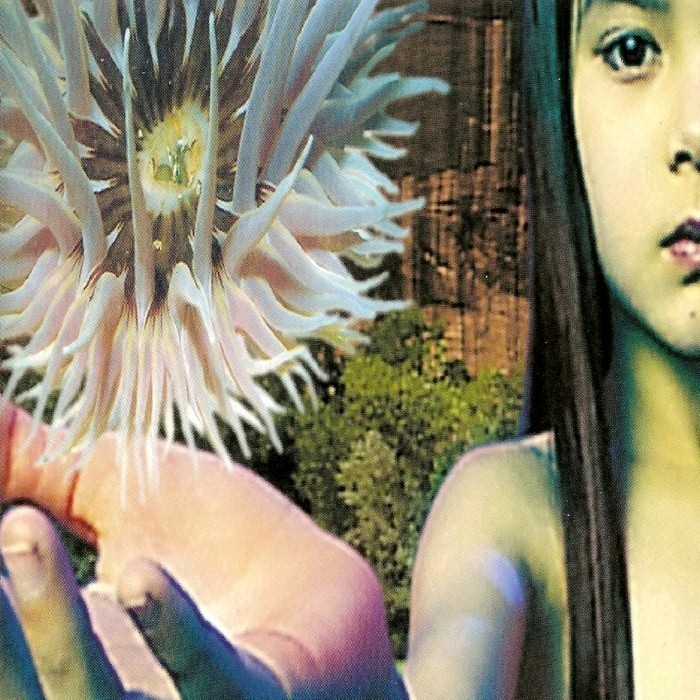 The Future Sound of London - Lifeforms