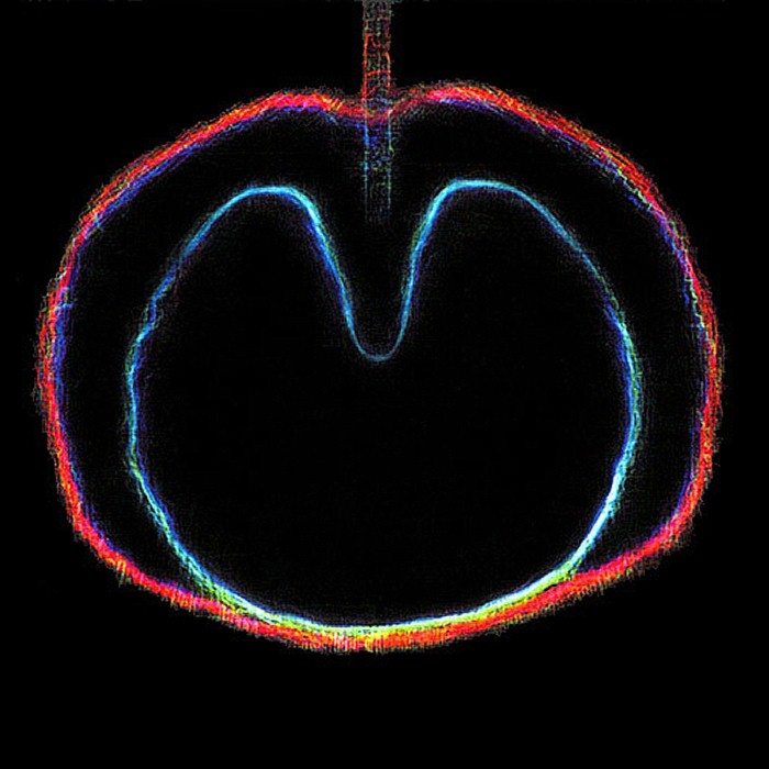 XTC - Apple Venus, Volume 2: Wasp Star