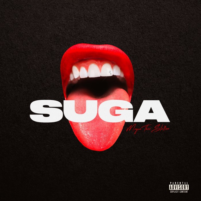 Megan Thee Stallion - Suga