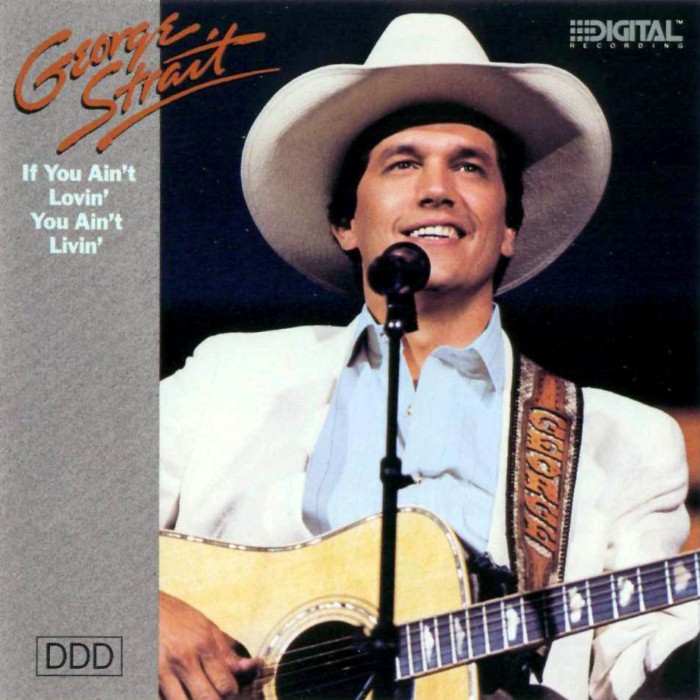 George Strait - If You Ain