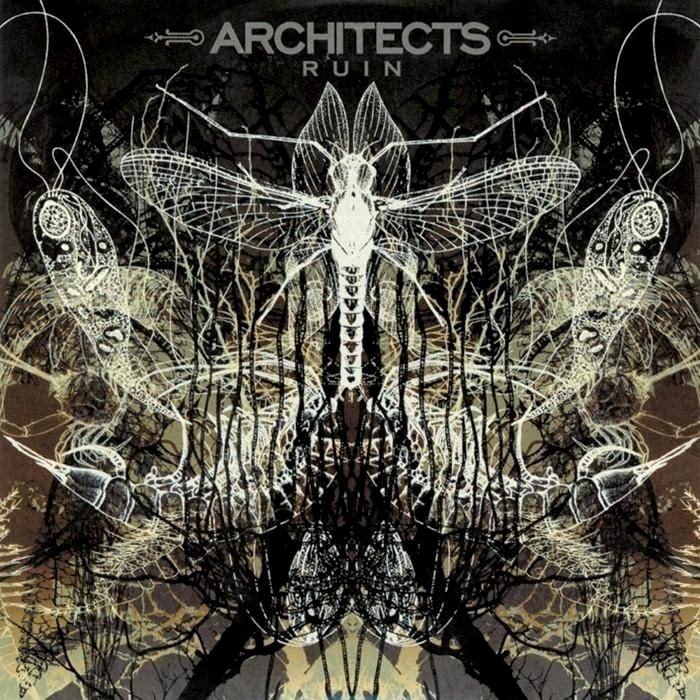 Architects - Ruin