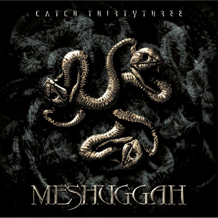 Meshuggah - Catch Thirtythree