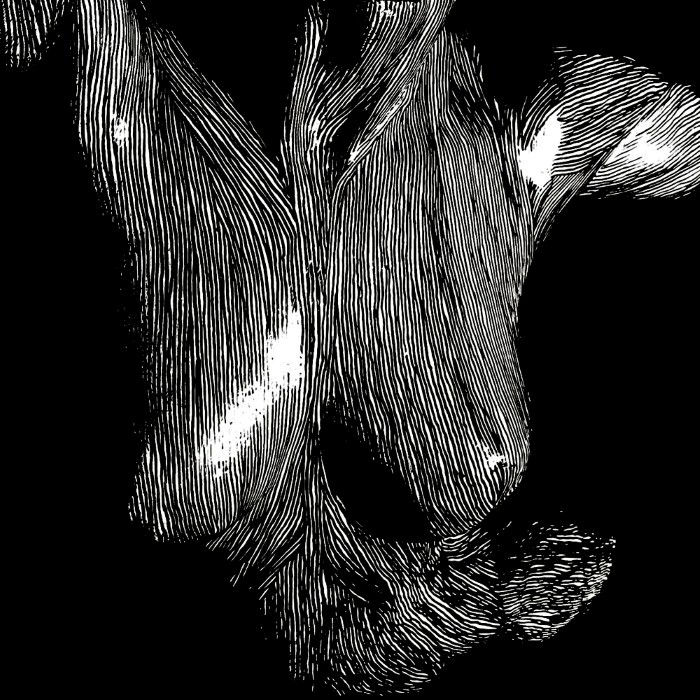 Oceansize - Self Preserved While the Bodies Float Up