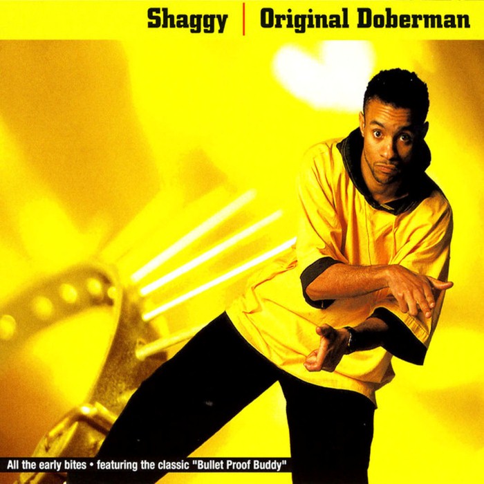 Shaggy - Original Doberman
