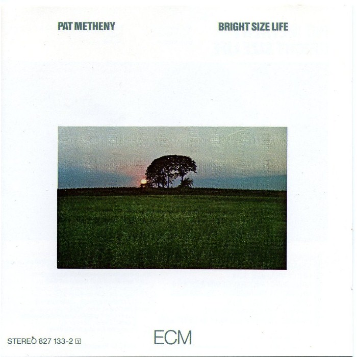 Pat Metheny - Bright Size Life