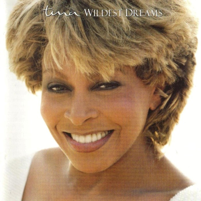 Tina Turner - Wildest Dreams