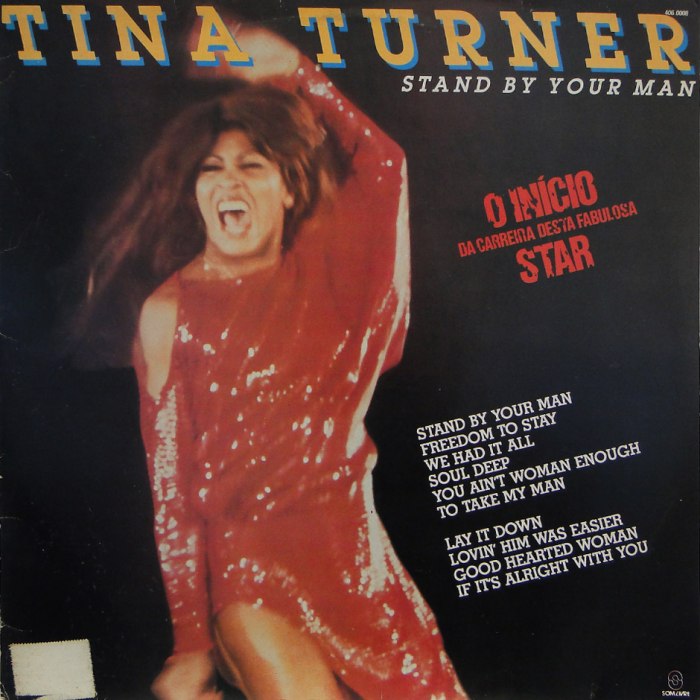 Tina Turner - Stand by Your Man