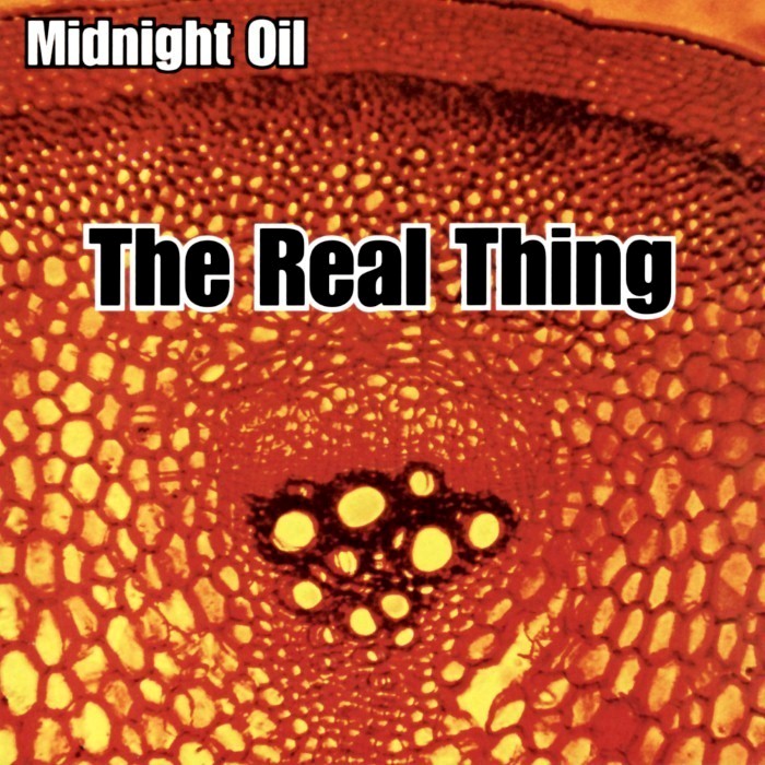 Midnight Oil - The Real Thing