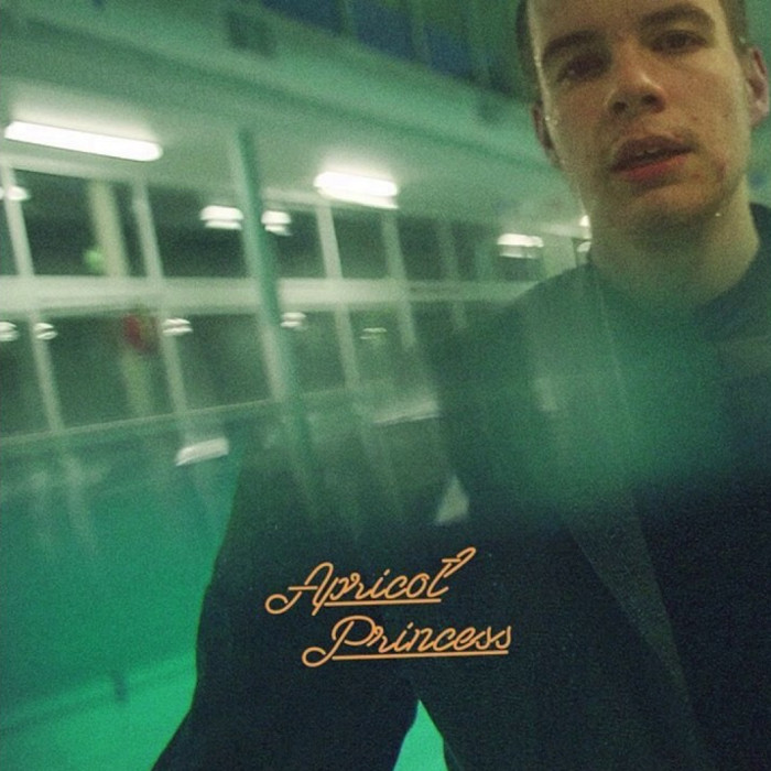 Rex Orange County - Apricot Princess