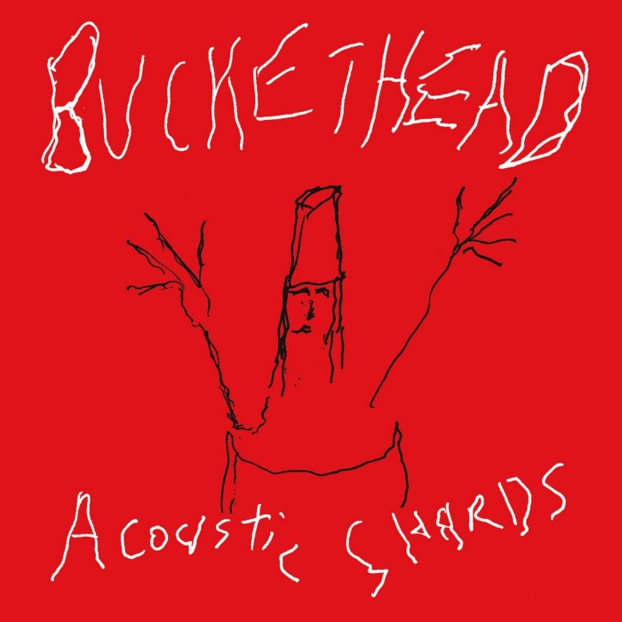 Buckethead - Acoustic Shards