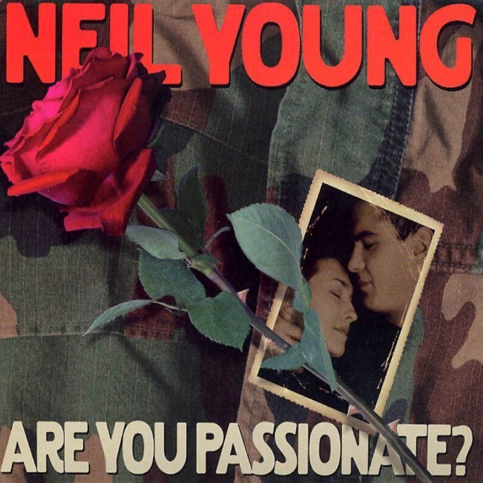 Neil Young - Are You Passionate?