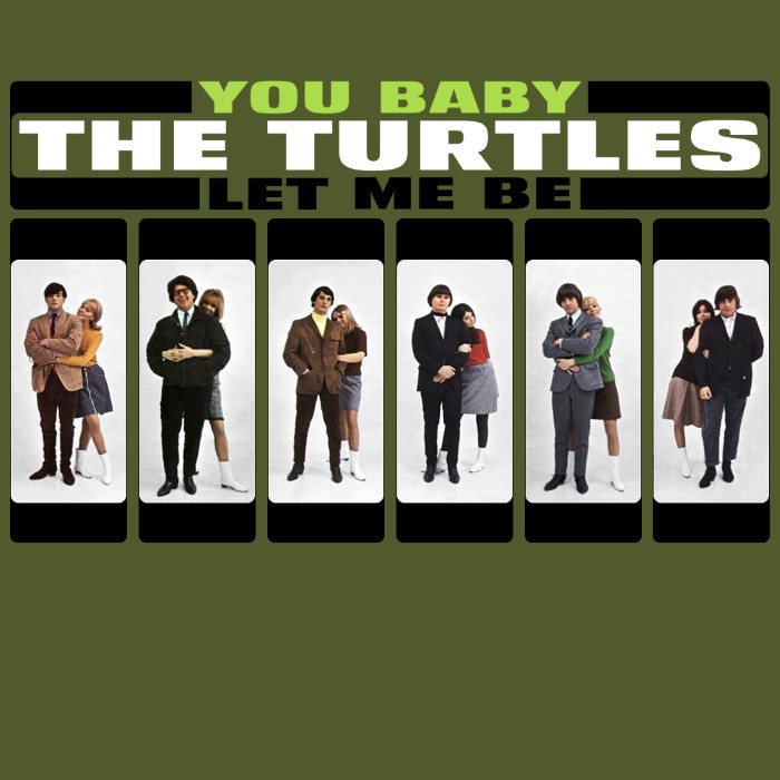 The Turtles - You Baby