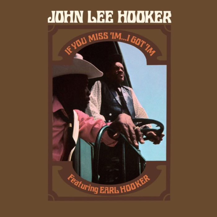 John Lee Hooker - If You Miss 