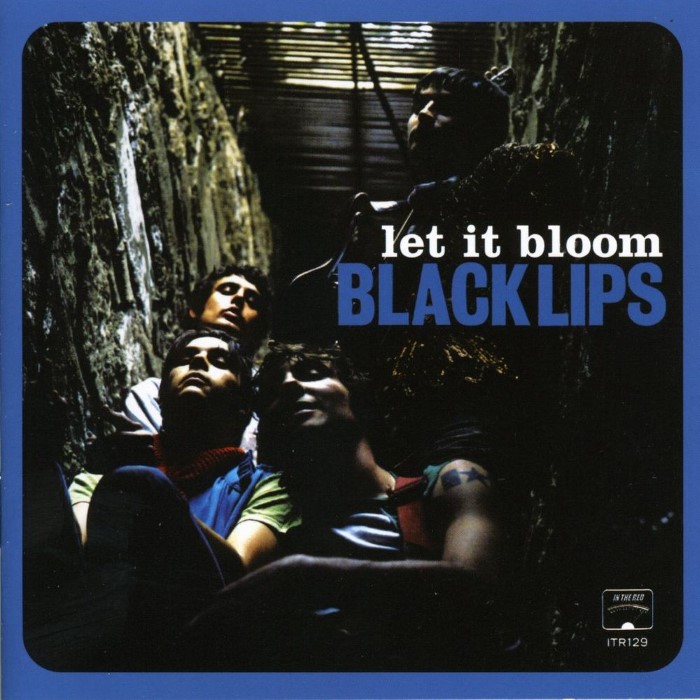 Black Lips - Let It Bloom