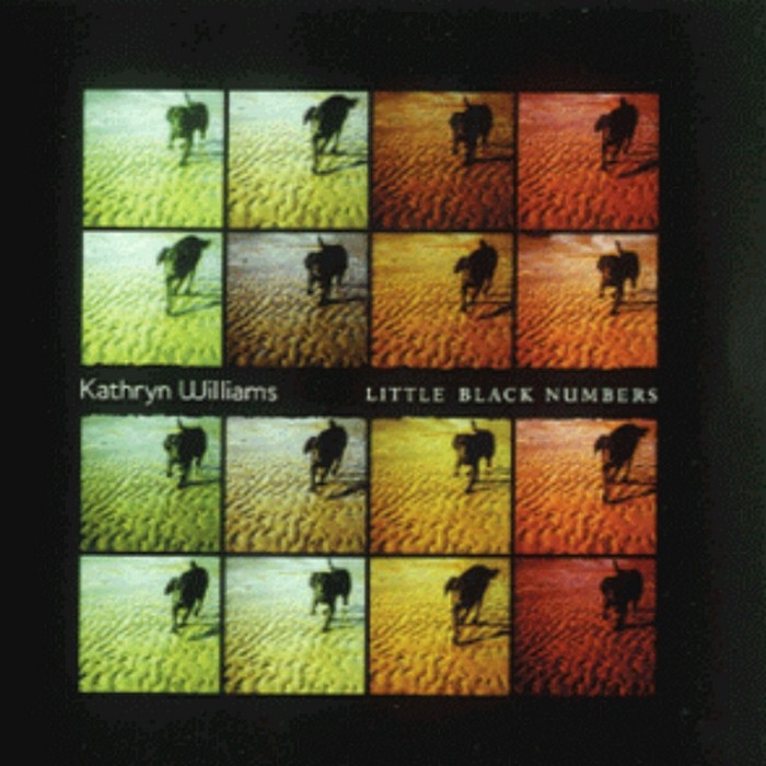 Kathryn Williams - Little Black Numbers