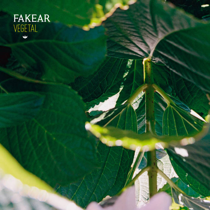 Fakear - Vegetal