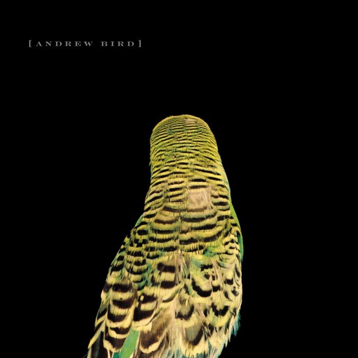 Andrew Bird - Armchair Apocrypha