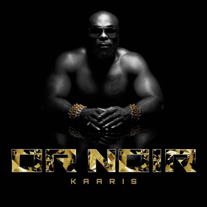 kaaris - Or noir