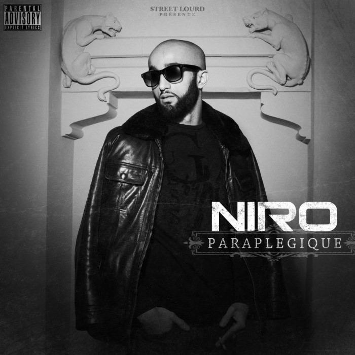 niro - Paraplégique