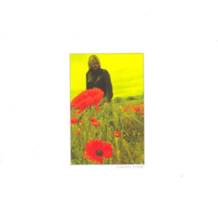 The Alarm - In The Poppy Fields: Five [Coming Home]