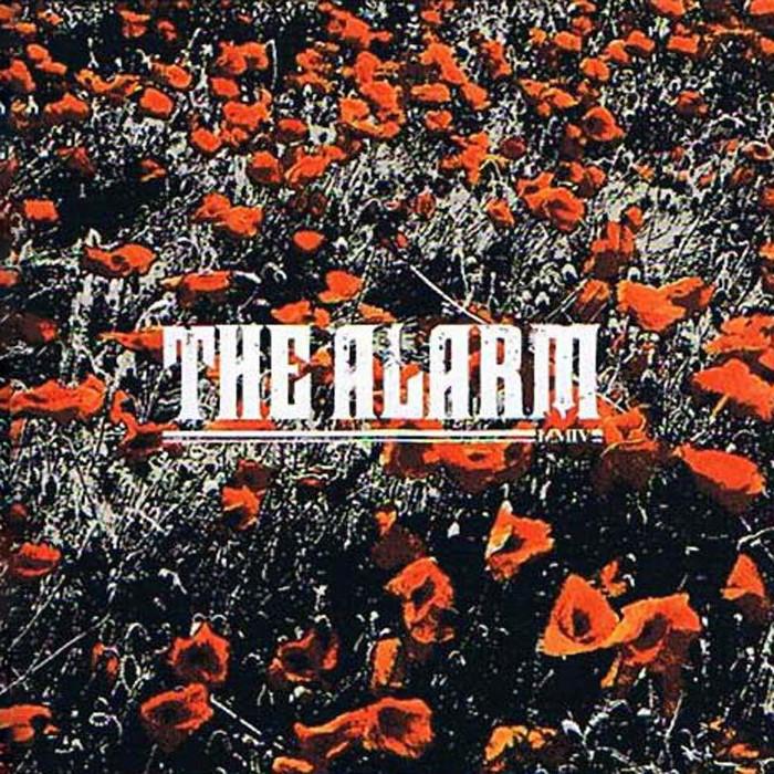 The Alarm - In the Poppy Fields