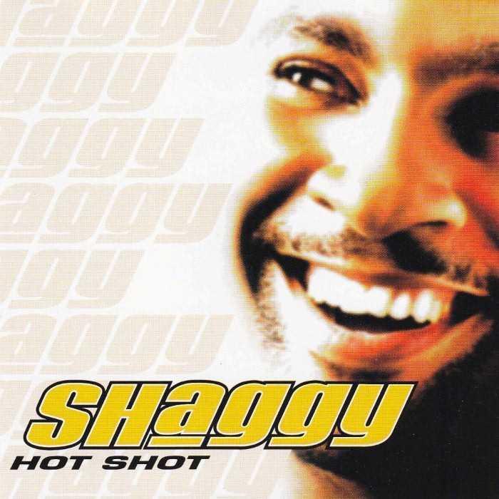 Shaggy - Hot Shot