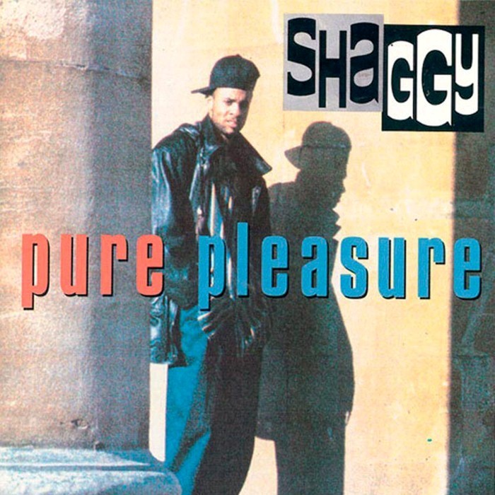 Shaggy - Pure Pleasure