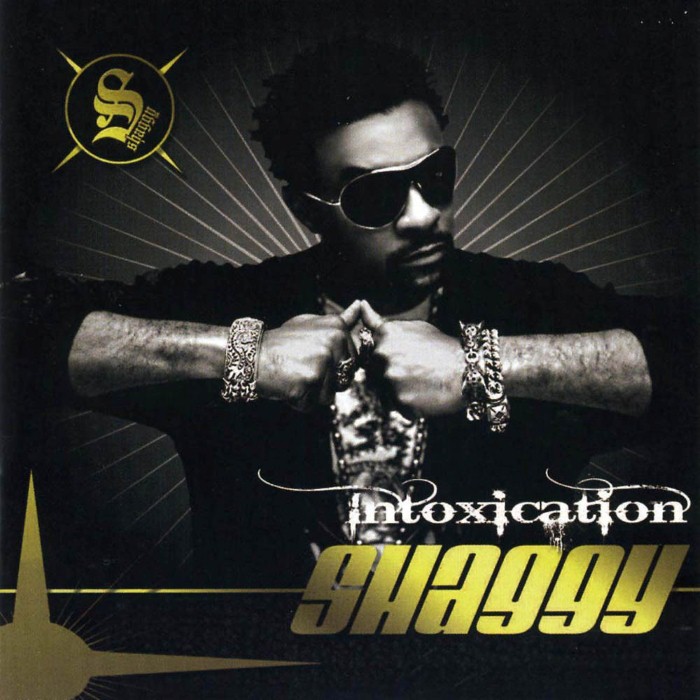 Shaggy - Intoxication