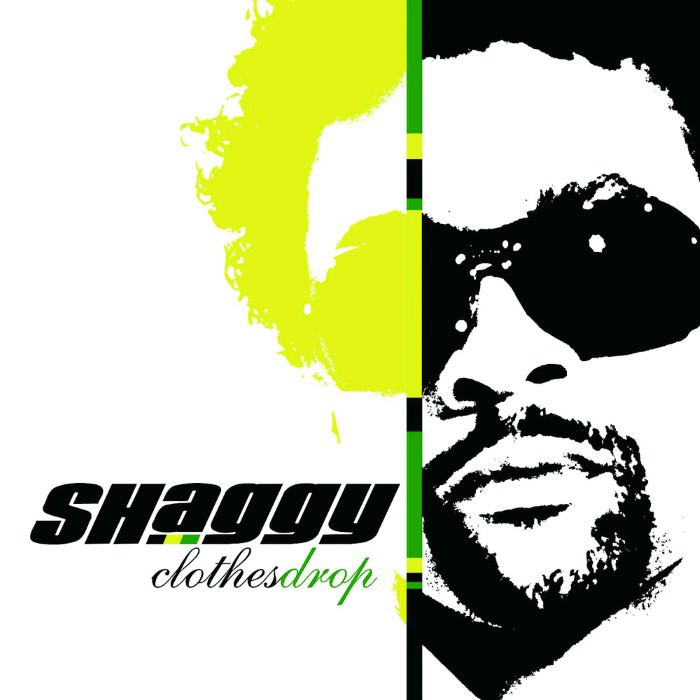 Shaggy - Clothes Drop