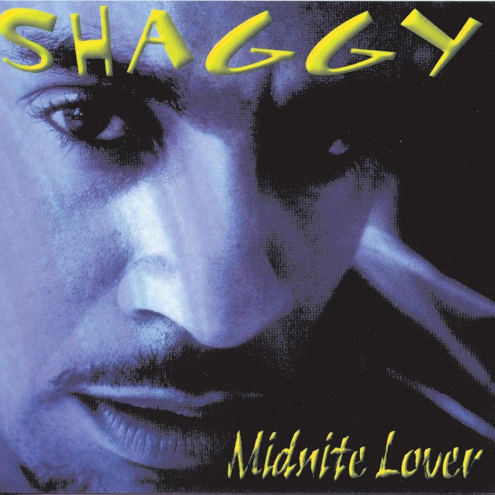 Shaggy - Midnite Lover